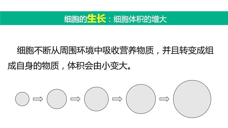 第一节 细胞通过分裂产生新细胞第3页