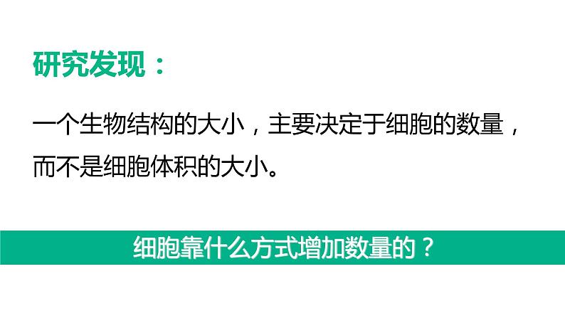 第一节 细胞通过分裂产生新细胞第4页