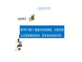 人教版七年级生物上册2.1.1《练习使用显微镜》同步课件