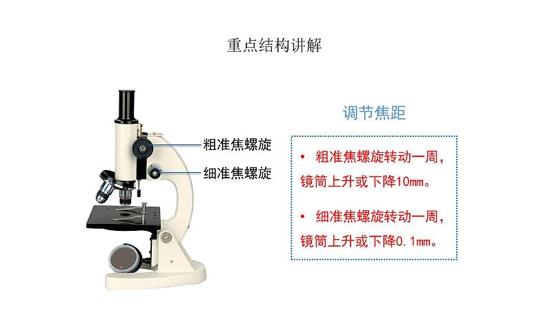 人教版七年级生物上册2.1.1《练习使用显微镜》同步课件08