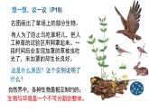 人教版七年级生物上册1.2.2生物与环境组成生态系统课件PPT