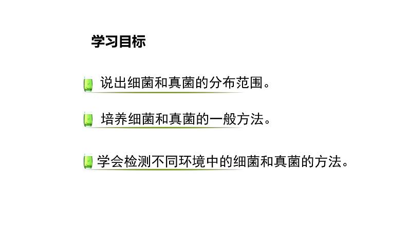 人教版八年级生物上册5.4.1细菌和真菌的分布课件第3页