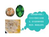 人教版八年级生物上册5.4.5人类对细菌和真菌的利用 课件