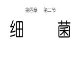 人教版八年级生物上册5.4.2细菌课件