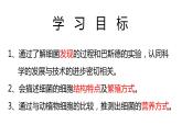 人教版八年级生物上册5.4.2细菌课件