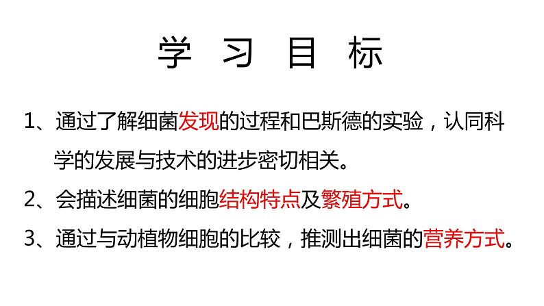 人教版八年级生物上册5.4.2细菌课件第3页