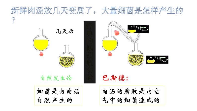 人教版八年级生物上册5.4.2细菌课件08