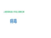 人教版八年级生物上册5.55.5《病毒》课件