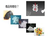 人教版八年级生物上册5.55.5《病毒》课件