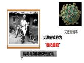人教版八年级生物上册5.55.5《病毒》课件