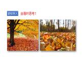 人教版八年级生物上册5.4.4细菌和真菌在自然界中的作用课件