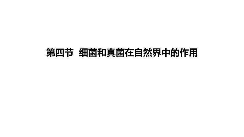 人教版八年级生物上册5.4.4细菌和真菌在自然界中的作用课件第2页