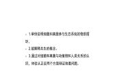 人教版八年级生物上册5.4.4细菌和真菌在自然界中的作用课件