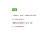 人教版八年级生物上册5.4.4细菌和真菌在自然界中的作用课件