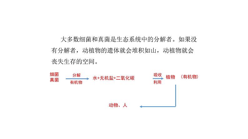 人教版八年级生物上册5.4.4细菌和真菌在自然界中的作用课件第6页