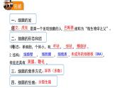 人教版八年级生物上册5.4.3真菌课件