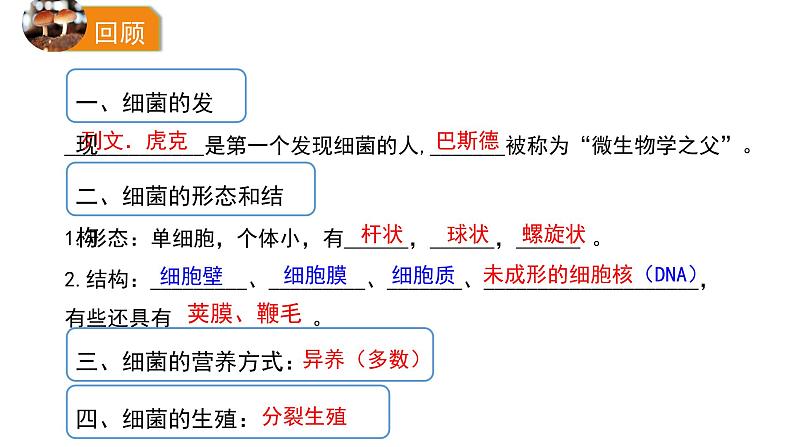 人教版八年级生物上册5.4.3真菌课件第1页