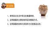 人教版八年级生物上册5.4.3真菌课件
