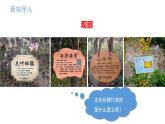 人教版八年级生物上册6.1.2《从种到界》同步教学课件