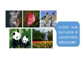 人教版八年级生物上册6.1.2《从种到界》同步教学课件