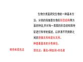 人教版八年级生物上册6.1.2《从种到界》同步教学课件
