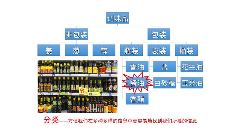 人教版八年级生物上册6.1.1尝试对生物进行分类课件第6页