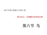 人教版八年级生物上册5.55.1.6鸟（课件）