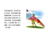 人教版八年级生物上册5.55.1.6鸟（课件）
