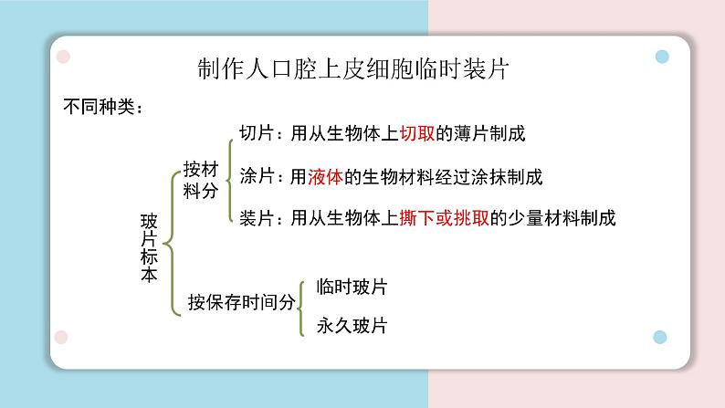 第三章第一节 细胞的基本结构和功能（二课时 动植物细胞）课件PPT第4页