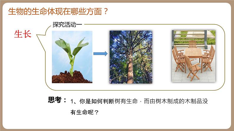 第二课时 生物区别于非生物的特征课件PPT第4页