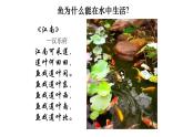5.1.4 鱼类课件PPT