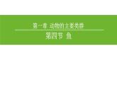5.1.4 鱼类课件PPT