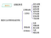 5.1.4 鱼类课件PPT
