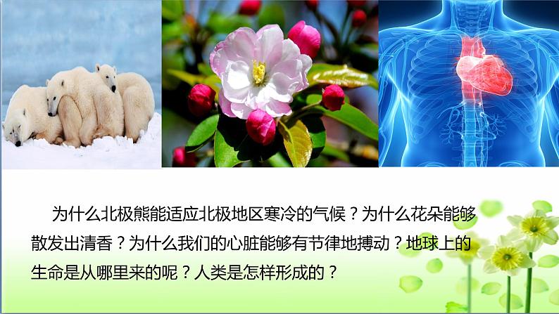 北师大版七年级生物上册：1.2.1 生物学是探究生命的科学-课件03