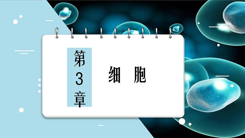 北师大版七年级生物上册：2.3.1 细胞的基本结构和功能-课件第2页