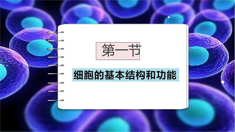 北师大版七年级生物上册：2.3.1 细胞的基本结构和功能-课件第4页