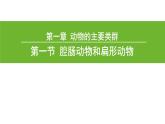 5.1.1 腔肠动物和扁形动物（第一课时）课件PPT