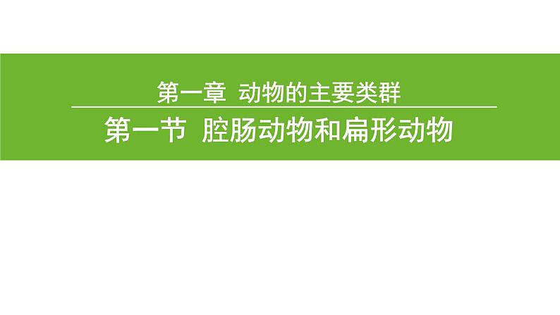 5.1.1 腔肠动物和扁形动物（第一课时）课件PPT第4页