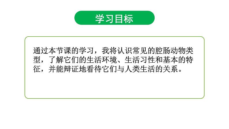 5.1.1 腔肠动物和扁形动物（第一课时）课件PPT第5页