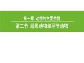 5.1.2 线形动物和环节动物（第二课时）课件PPT