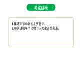 5.1.2 线形动物和环节动物（第二课时）课件PPT