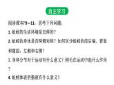 5.1.2 线形动物和环节动物（第二课时）课件PPT