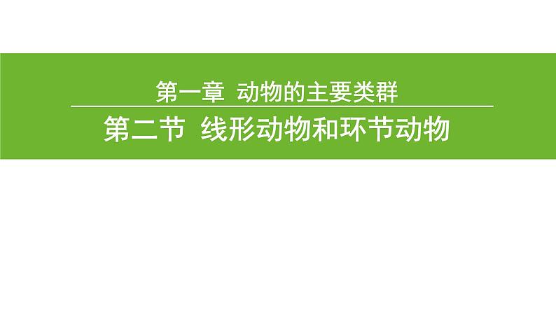 5.1.2 线形动物和环节动物（第一课时）课件PPT02