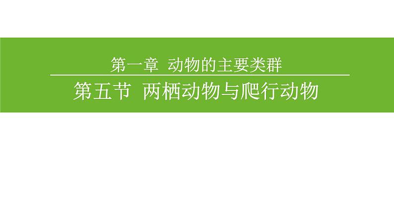 5.1.5爬行动物课件PPT第1页