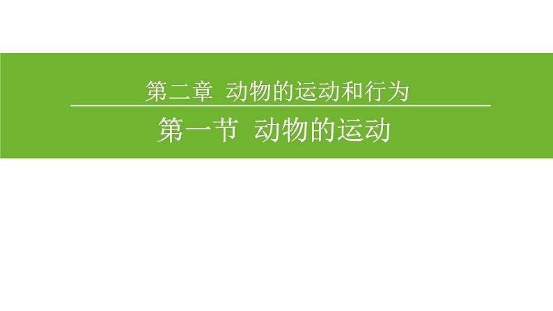 5.2.1动物的运动课件PPT第3页