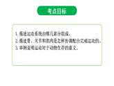 5.2.1动物的运动课件PPT