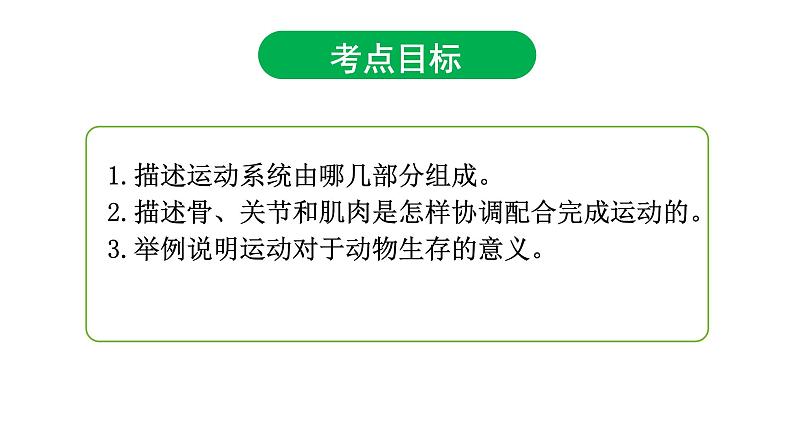 5.2.1动物的运动课件PPT第4页