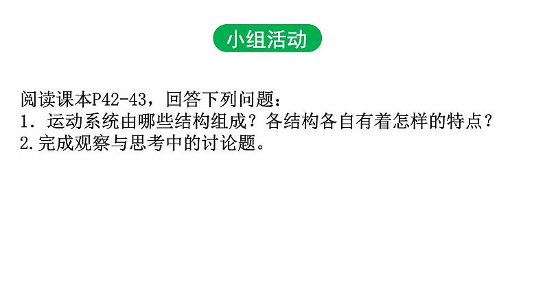 5.2.1动物的运动课件PPT第5页