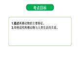 5.1.5两栖动物课件PPT