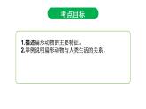 5.1.1 腔肠动物和扁形动物(第二课时)课件PPT